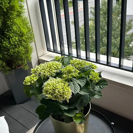 Apartmán Pastelowa Portova Gdyně