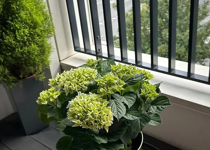 Apartment Pastelowa Portova Gdynia